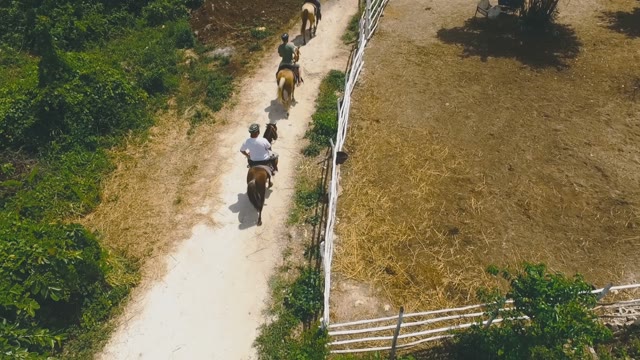 Men Ride Horses Near The Fields