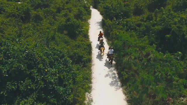 Men Ride Horses Along The Path