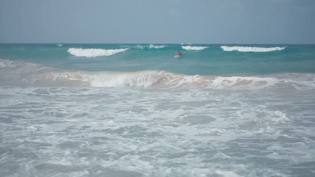 Surfer Sails On The Blackboard