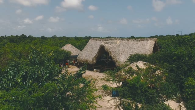 Stable In The Middle Of A Tropical Green Forest