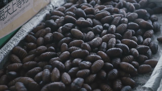 Insect Larvae Used In Asian Cooking