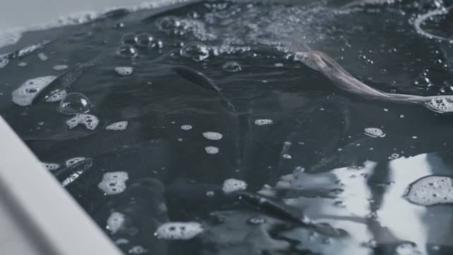 Large Bathtub With Water For Asian Fish