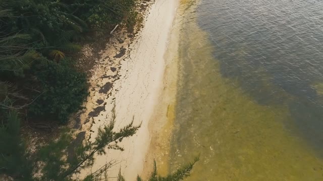 Beautiful Palm-grassy Coastline Is Washed By Sea Waves