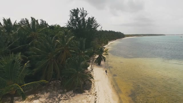 Unimaginably Beautiful Palm Coast And Magnificent Blue Sea