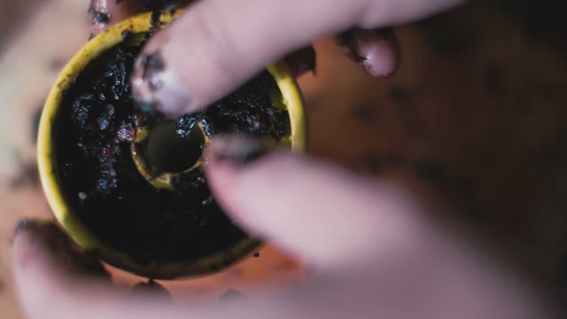 Man Puts Tobacco In A Hookah Close-up