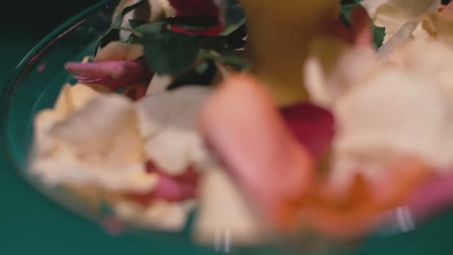 Rose Petals On A Plate Close-up