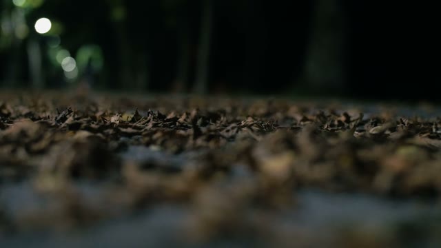 Cyclist Rides Along A Road At Night Close-up