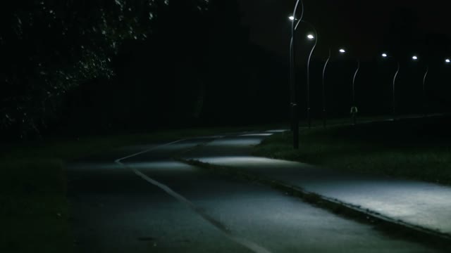 Cyclist Rides Through The Park