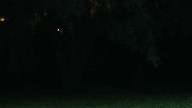 Cyclist Rides Through The Park