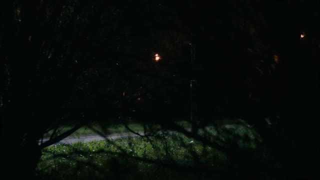 Cyclist Rides Through The Park