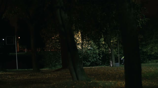 Cyclist Rides Through The Park