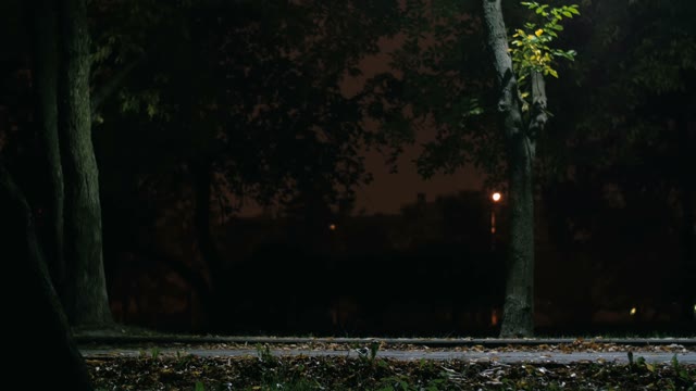 Cyclist Rides Through The Park