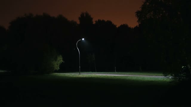 Cyclist Rides Through The Park