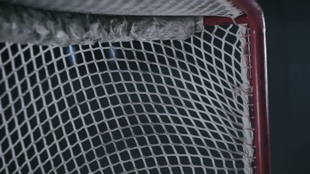 Puck Flew Into The Gates Close-up