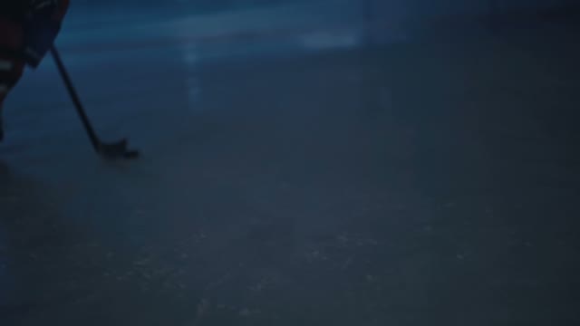 Hockey Player Scores A Goal In The Gate Close-up