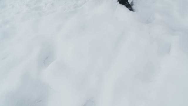 A Man Walks On A Snow-covered Path In Daytime