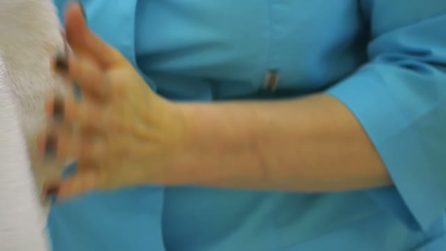 Woman Wipes Her Hands With A Towel Close-up