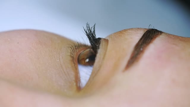 Eye Of A Woman Close-up