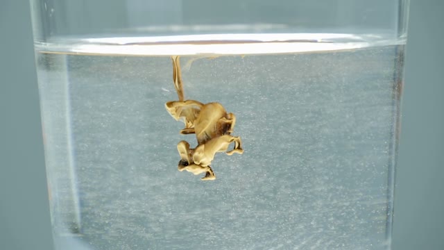 Paint In A Glass Of Water Close-up
