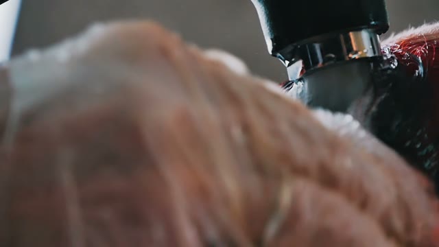 Hairdresser In Gloves Washes Hair Close-up