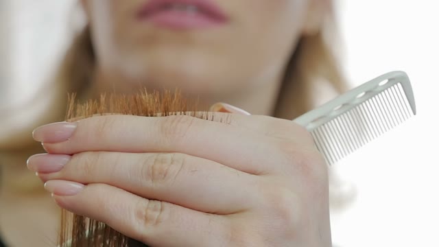 Hairdresser Cuts Hair Close-up