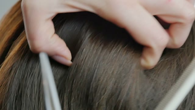 Hairdresser Cuts Hair Close-up