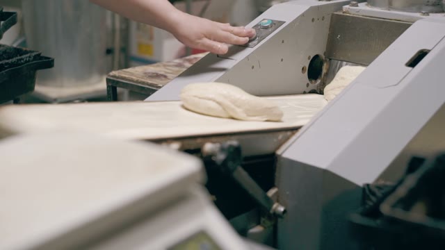 Conveyor And Molds