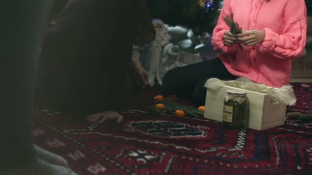 Girl Put In A Box Christmas Tree Branches