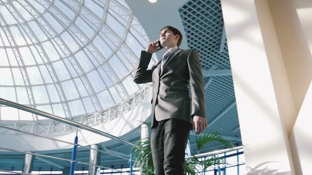 Businessman Talking On The Phone