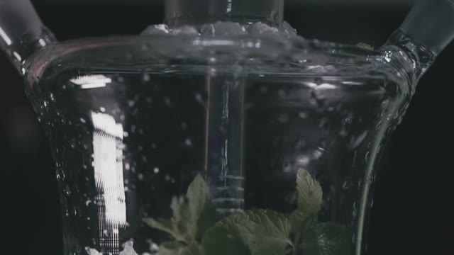 Fruit Mint Shisha