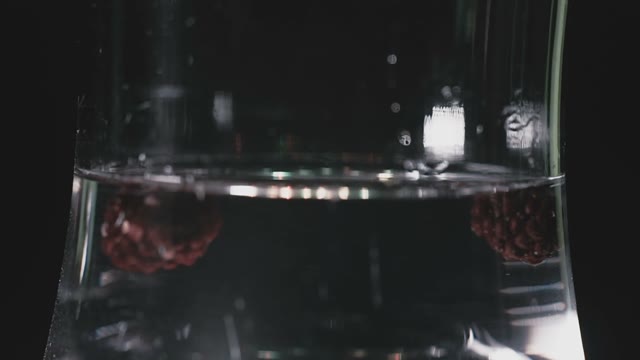 Raspberries In A Shisha Flask