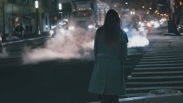 Girl Stands At The Pedestrian Crossing