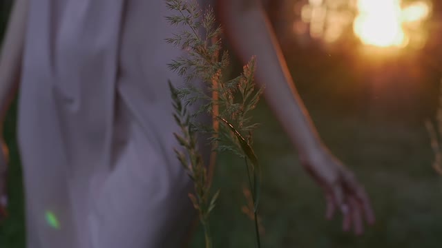 Girl Walks Through The Forest