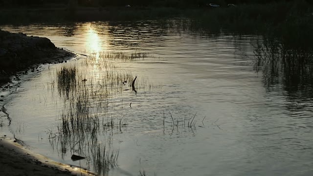 Water Around The Sandy Coast