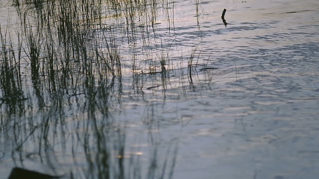Water In The Evening