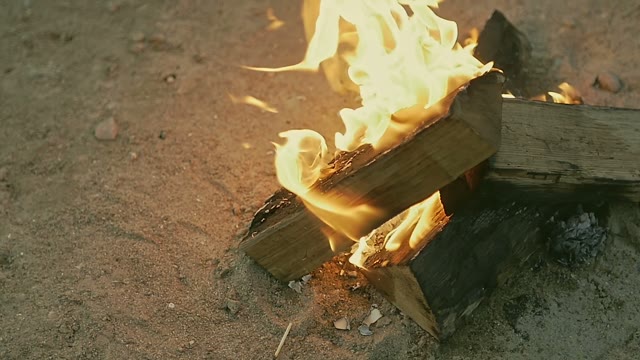 Bonfire Burns On The Sandy Shore