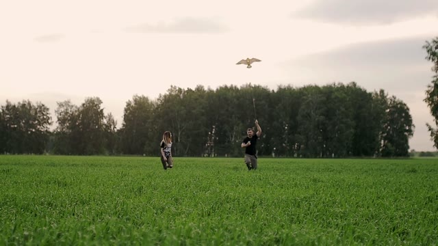 Young Couple Is Running Behind A Kite In The Field