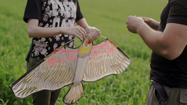 Girl Is Holding A Kite In Front Of Her