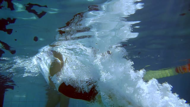 Swimmer Jumps Into The Water