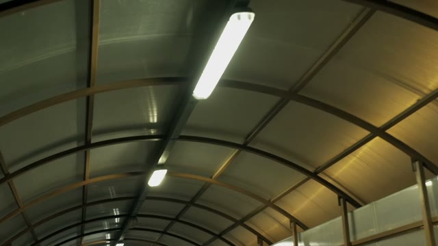 Lamps Shine