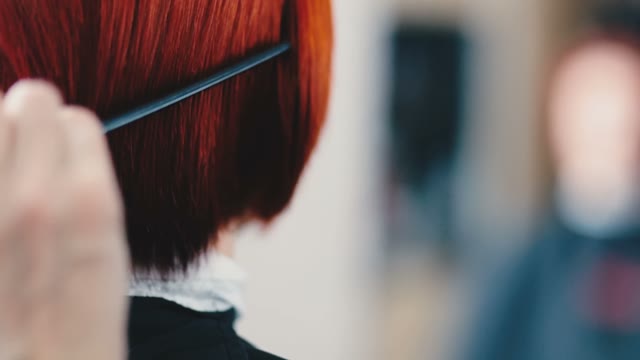 Hairdresser Combs Hair