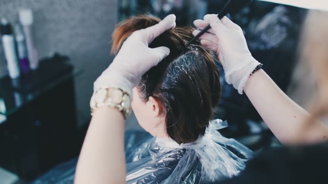 Colorist Paints Hair To The Client In The Salon