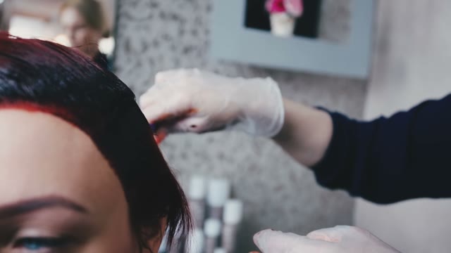 Master Paints The Hair In The Salon