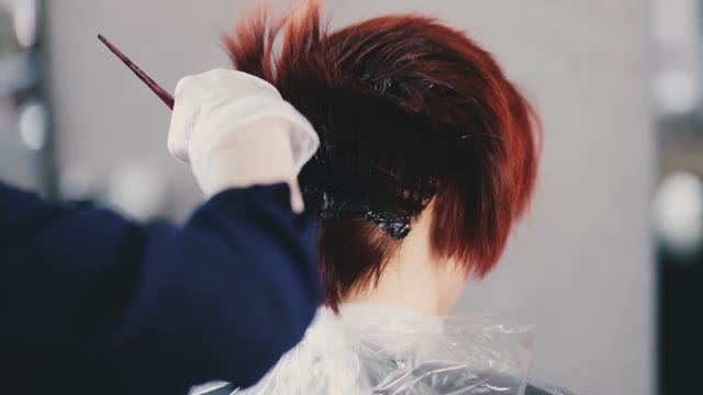 Girl Paints The Client's Hair