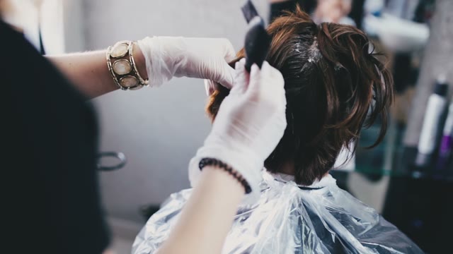 Colorist Paints The Hair To The Client