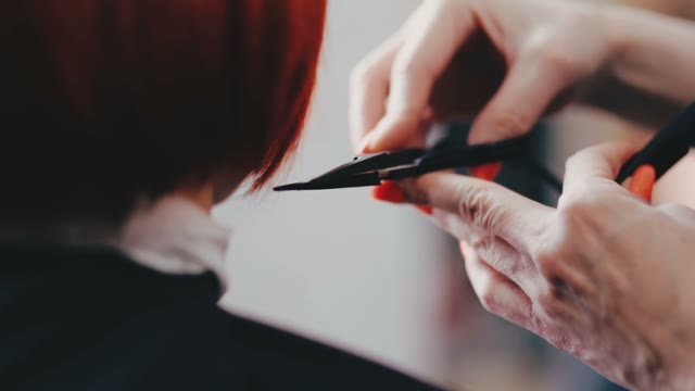 Hairdresser Works With Scissors
