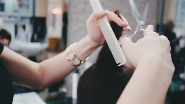 Hairdresser Cuts Hair