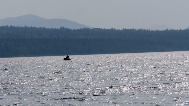 Fishermen Are Fishing