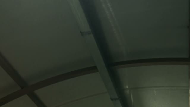 Lamps Are