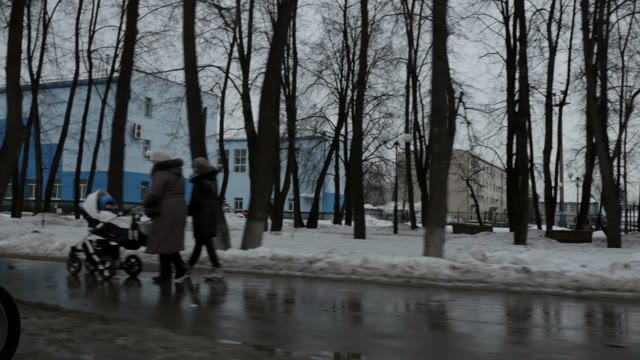 Gloomy Trees And Buildings